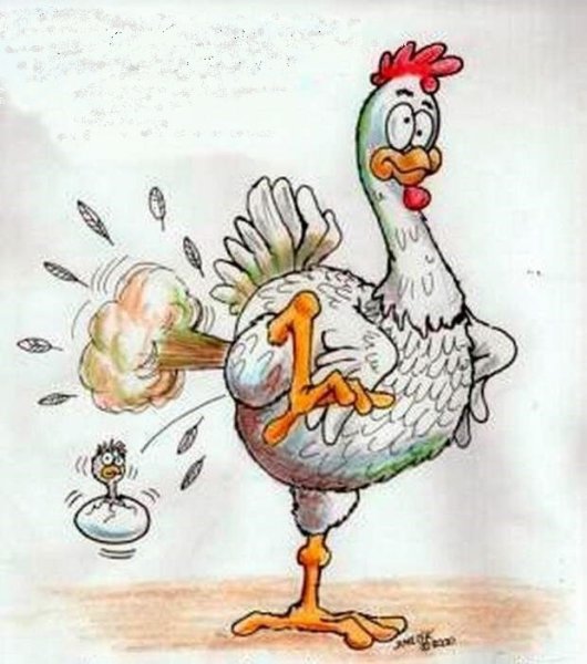 Приколы про кур