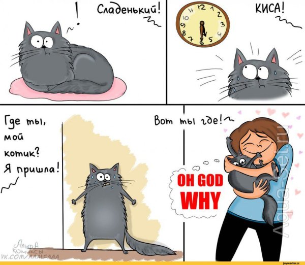 Коты комиксы