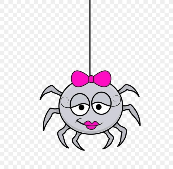 Веселый паучок