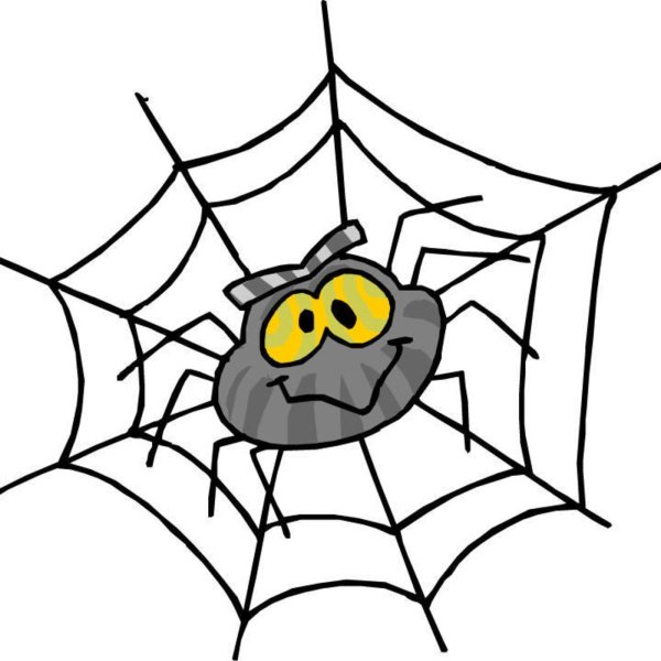 Пау паучина паутину сшил