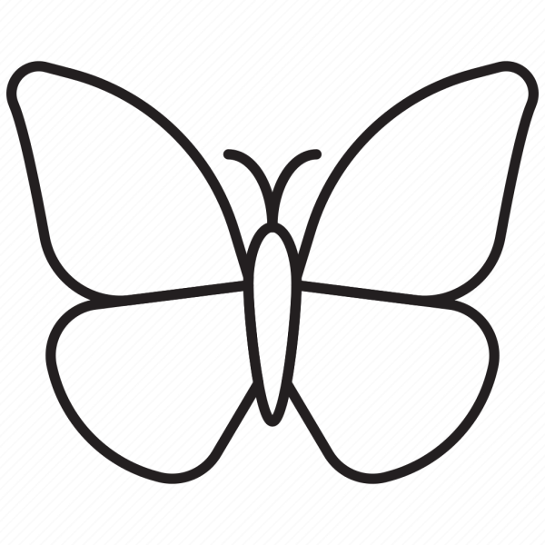 Бабочки для срисовки