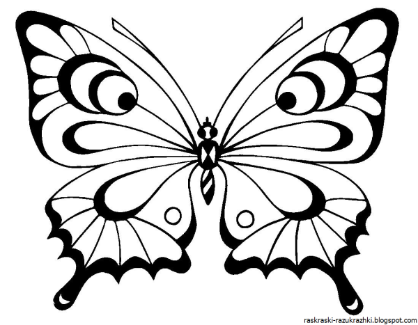 Бабочка для раскрашивания