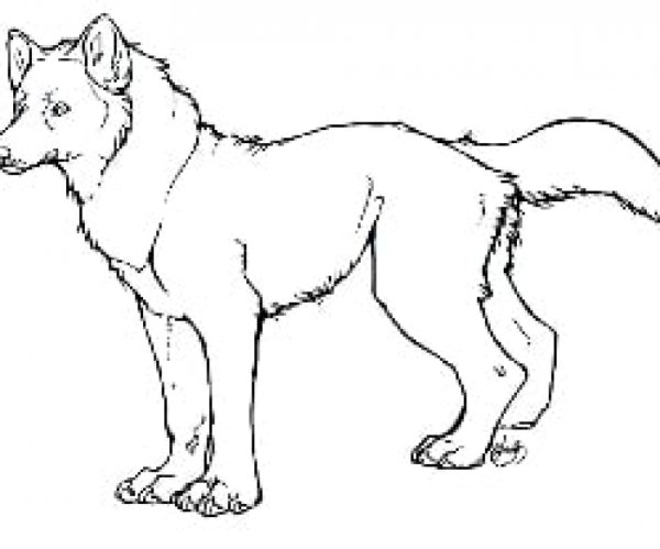 Волк картинка для детей раскраска