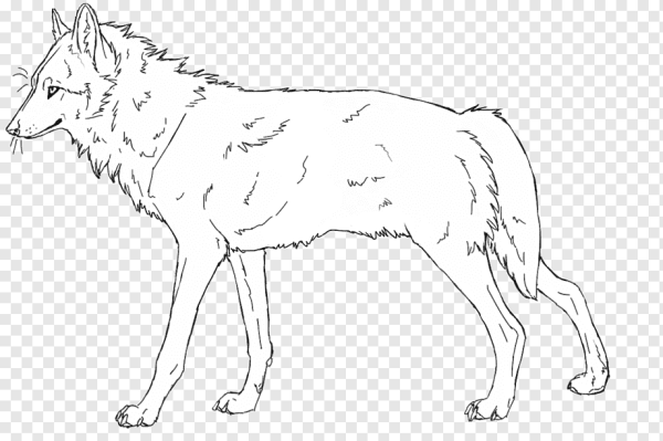 Раскраска волк бежит