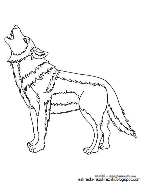 Собака воет на луну