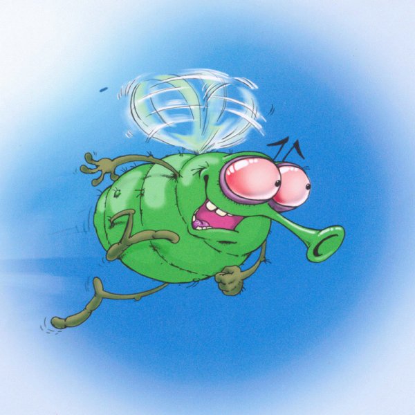 Муха прикол