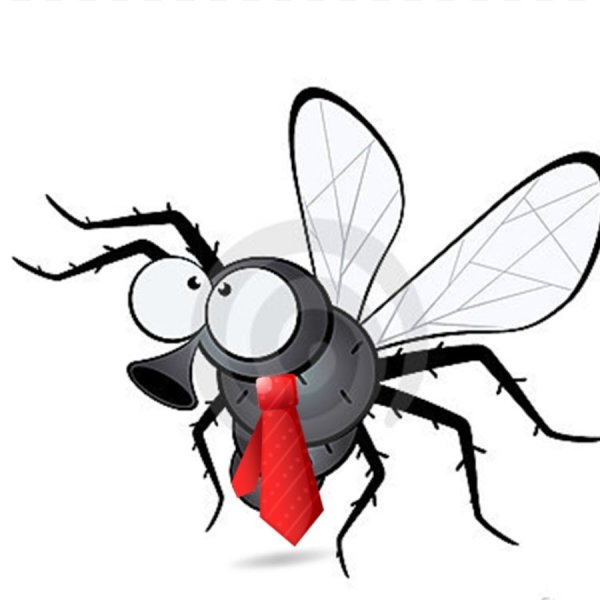 Веселая Муха