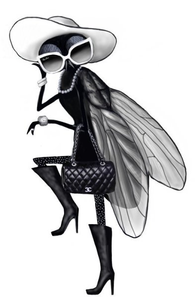 Муха Цокотуха в очках