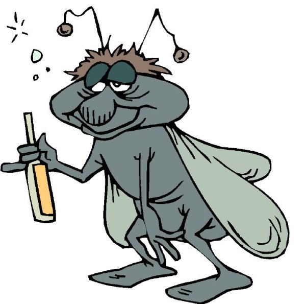 Смешная Муха