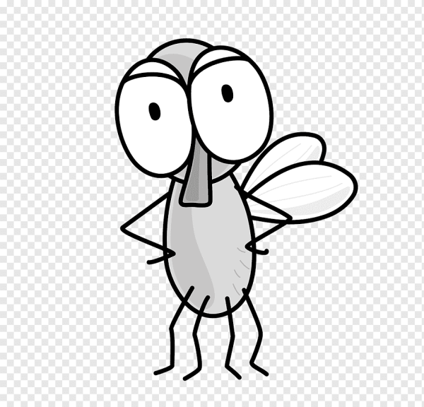 Муха мультфильм