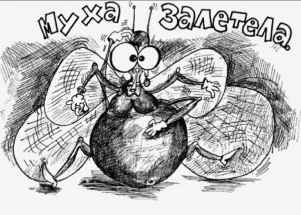 Муха залетела