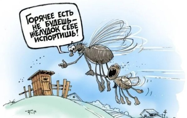 Прикол про муху