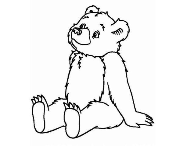 Бурый медведь раскраска