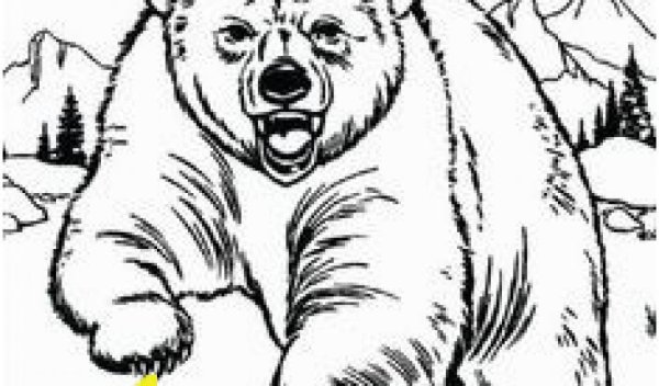 Раскраска. Медвежонок