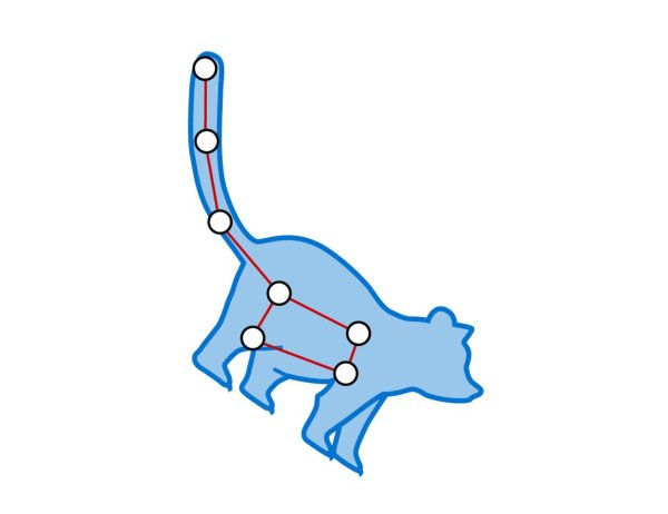 Урса минор Созвездие