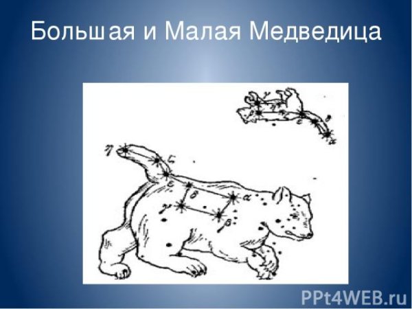 Раскраска большой и малой медведицы