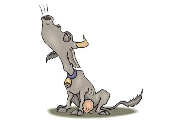 Волк воет на луну карикатура