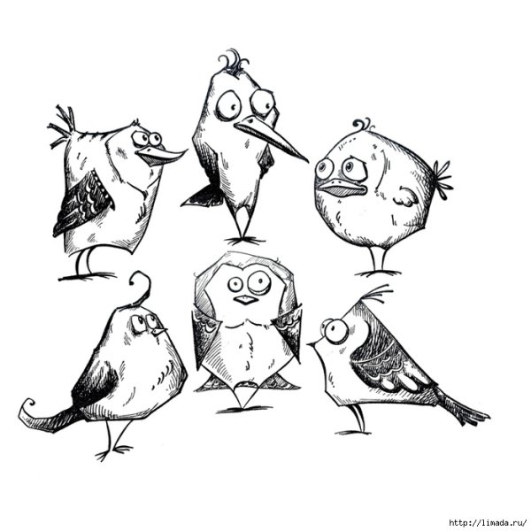 Смешные нарисованные птицы