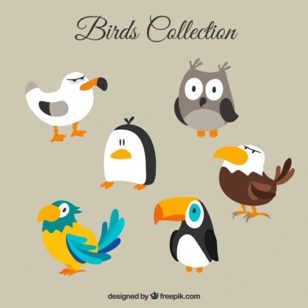 Прикольные птички рисунки