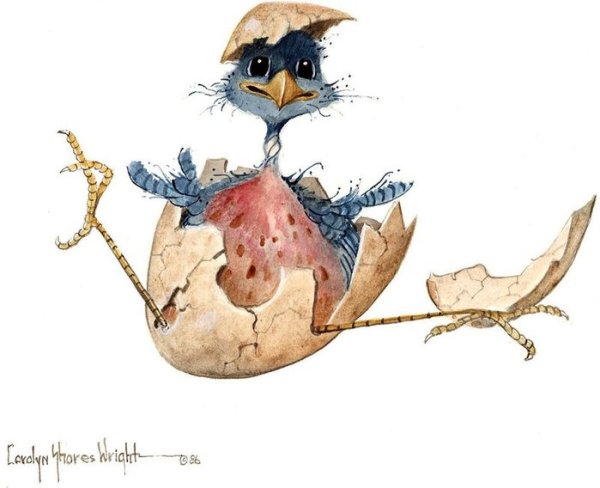 Веселые птички