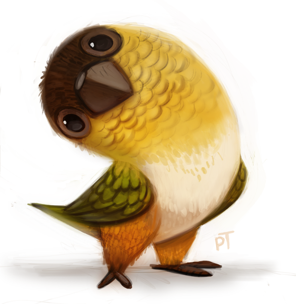 Виктория Кирдий птицы