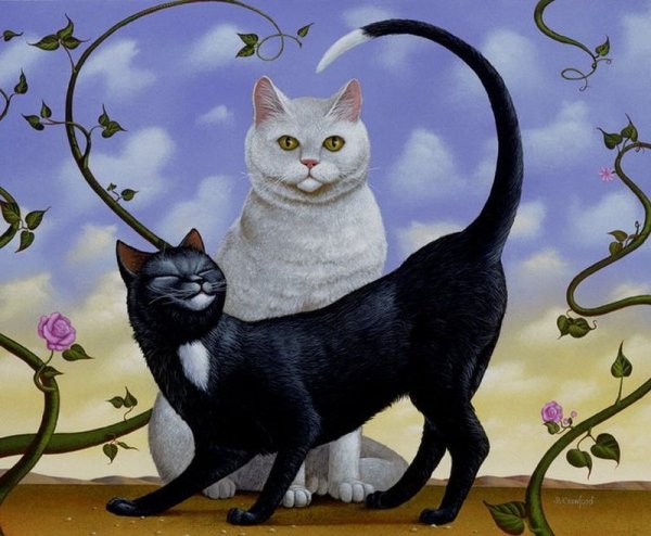 Черный кот и кошка
