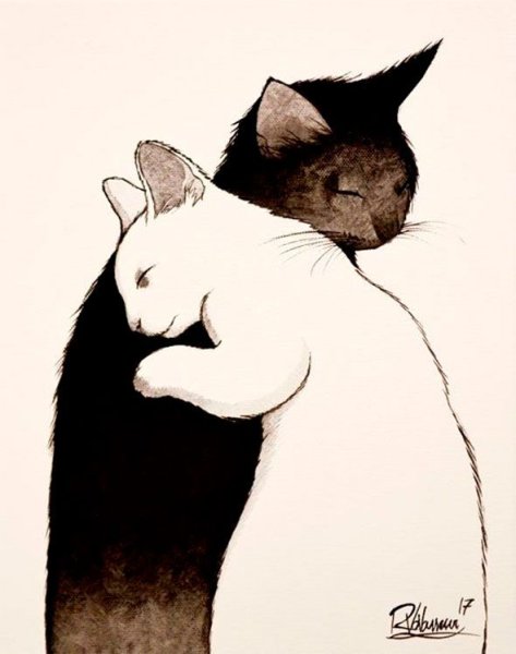 Коты обнимаются арт