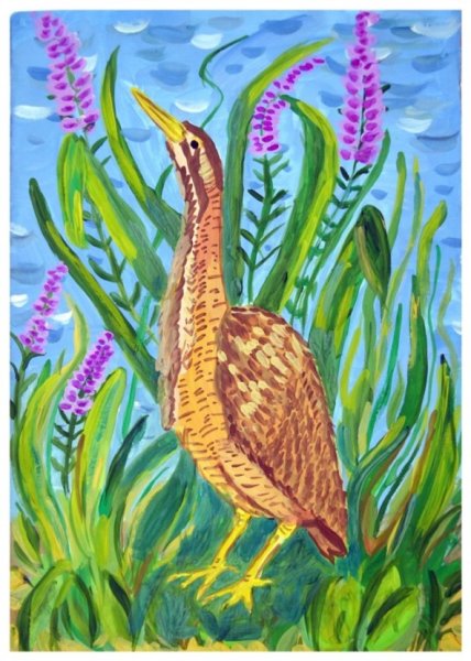 Выпь для детей