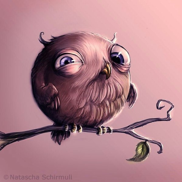 Смешные рисунки