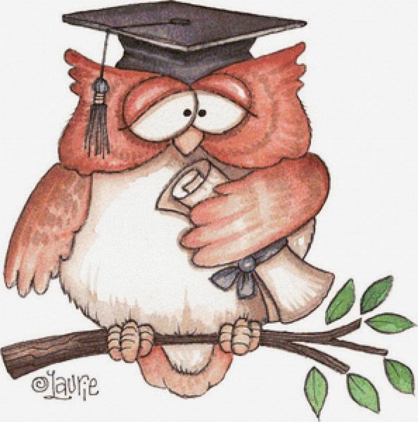 Сова мудрая смешная