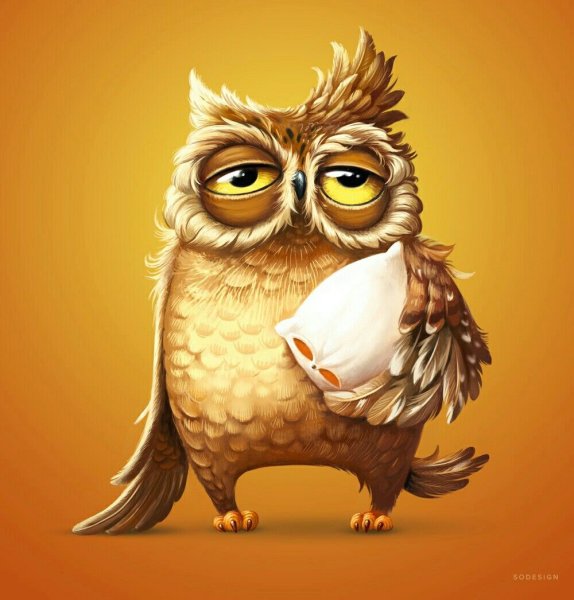 Невыспавшаяся Сова