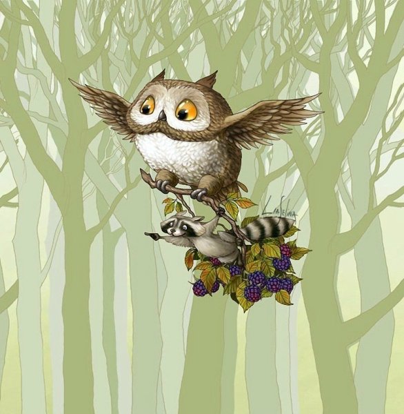 Лиа Селина художник-иллюстратор Сова