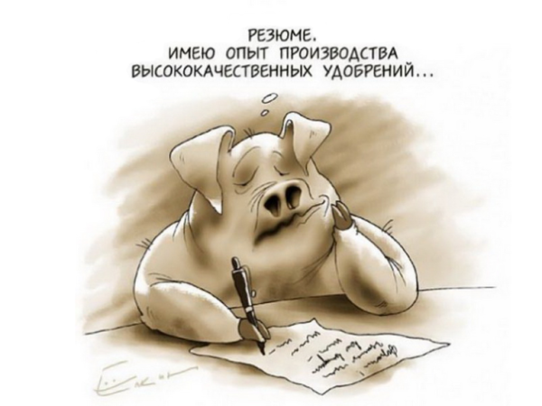 Приколы про работу