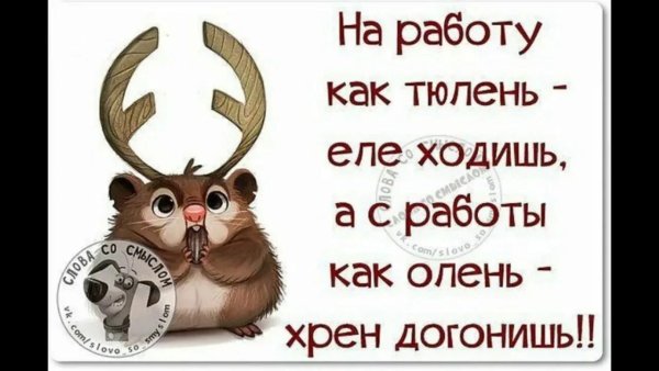Прикольные высказывания про работу