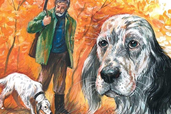 Белый Бим черное ухо