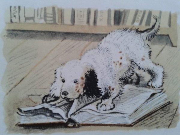 Троепольский белый Бим черное ухо иллюстрации к книге