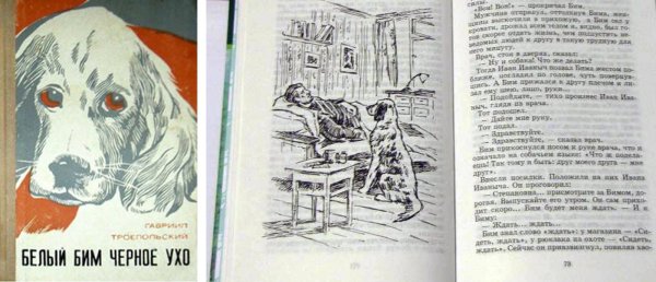 Аннотация к книге белый Бим черное ухо