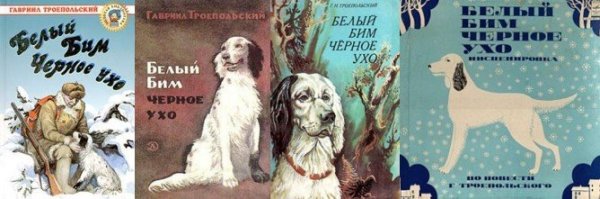 Презентация Троепольский белый Бим черное ухо