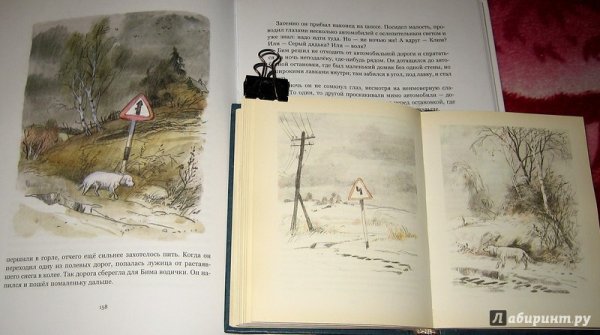 Белый Бим чёрное ухо Гавриил Троепольский