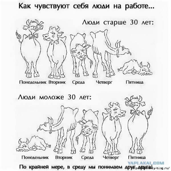 Как чувствуют себя люди на работе