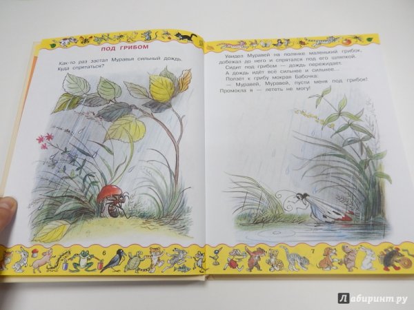 Книжка сказки Сутеева