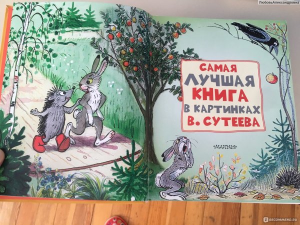 Самые любимые сказки Сутеев