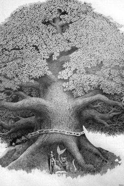 Дуб в графике