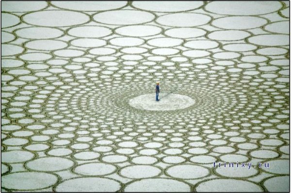 Джим Деневан Лэнд арт