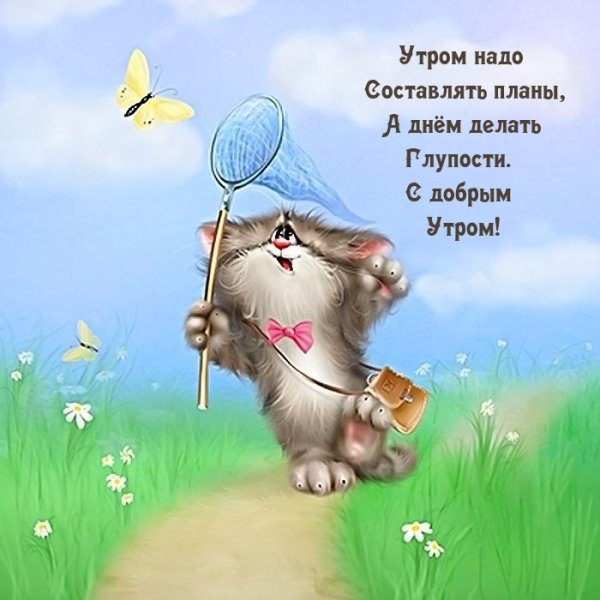 Веселые коты Алексея Долотова