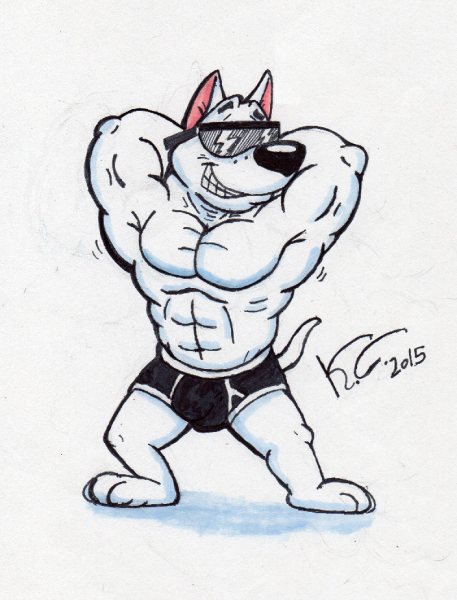 Качок рисунок