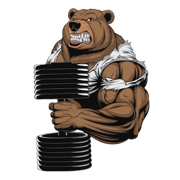 Накаченный медведь