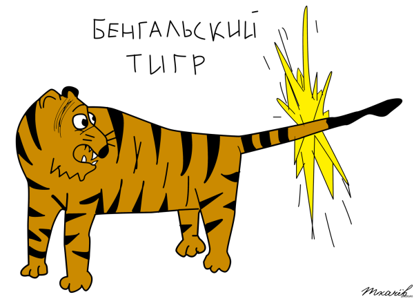 Смешные рисунки тигра