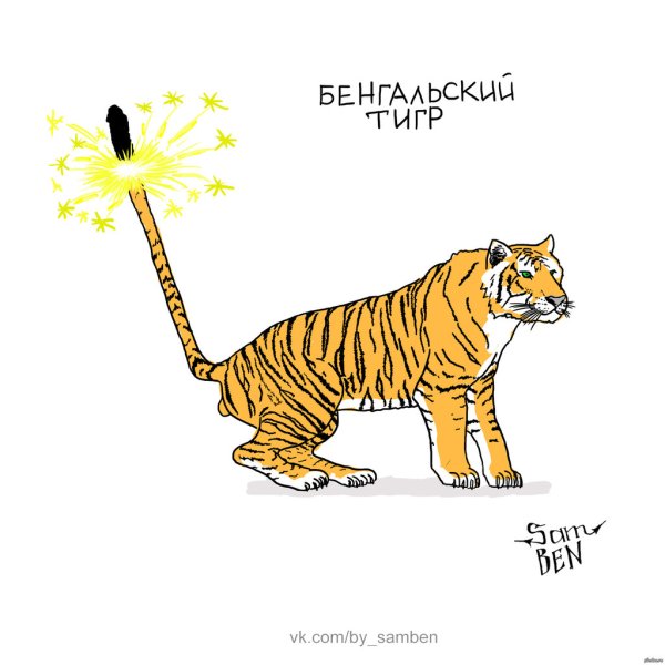 Приколы про тигров