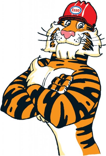 Тигра в каске